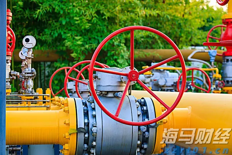 雷州8000多名考生为“梦”赴考