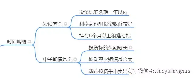 中考美术免费公益辅导：开启艺术升学大门