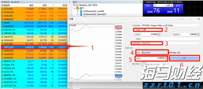 十五运会香港代表队：篮球项目的目标是冲进前八