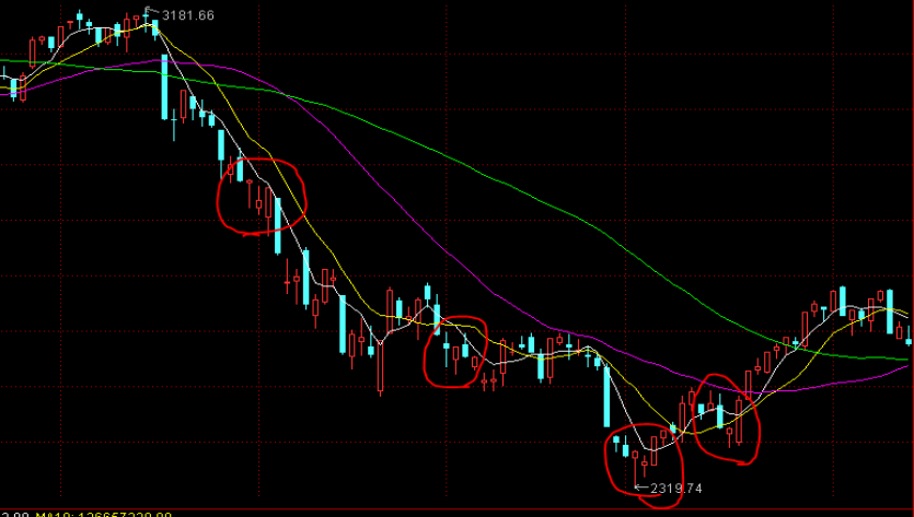 羊城派“文化通”智能体上线，岭南文化大模型带你游遍广东