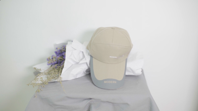 甘肃省开展农村假冒伪劣食品集中整治攻坚行动